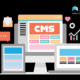 CMS vs. Web Development