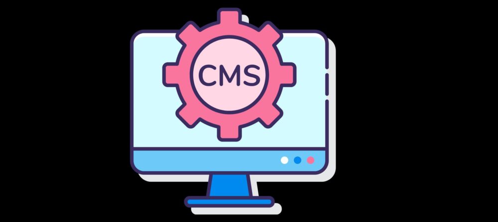 cms vs custom website